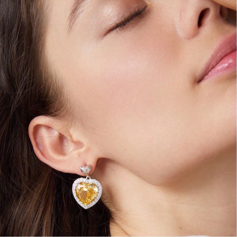 Bottega VENENTA Earrings